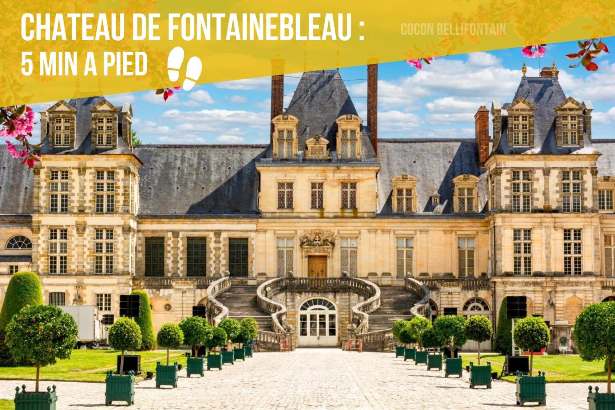 Le Cocon De Fontainebleau - Centre-Ville, Proche Insead & Chateau Dış mekan fotoğraf